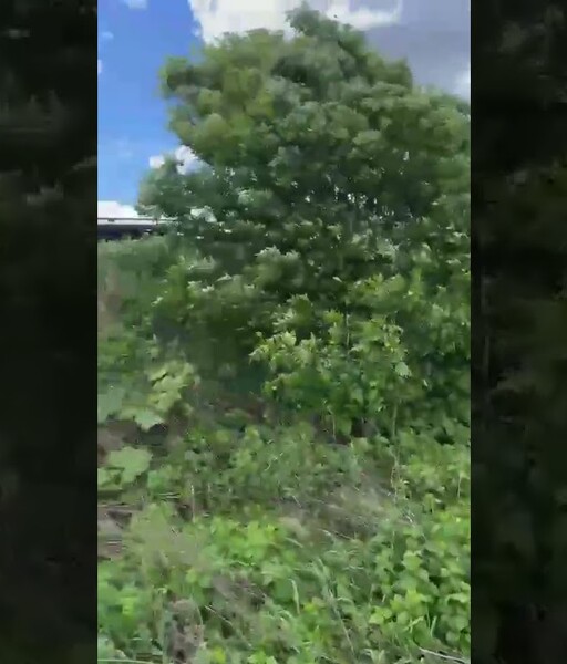 Підйом із кювету